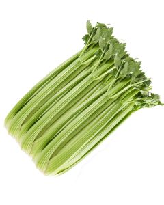 B037B Celery (Case)