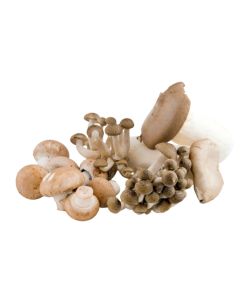 B211B Mixed Wild Mushrooms (Case)