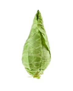 B165B Hispi Cabbage (Case)