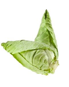B101 Hispi Cabbage