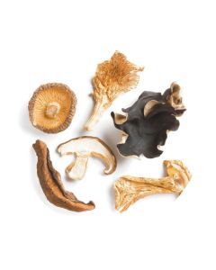 B332 Centaur Dried Mixed Forest Mushrooms (Wild / Exotic)