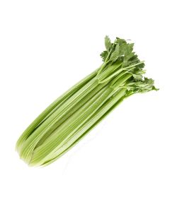 B038 Celery