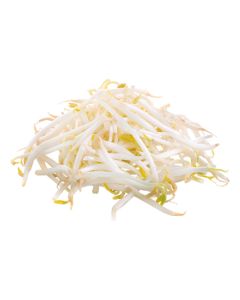 B168B Bean Sprouts (Case)