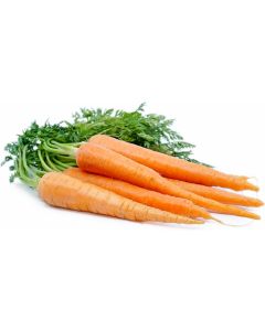B055 Carrots Fresh Bunched (Case)