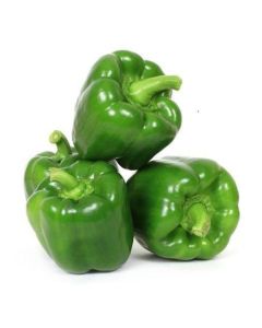 B126B Green Bell Peppers (Case)