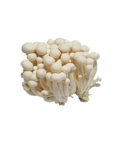 B170 Shimeji Mushrooms150g Punnet