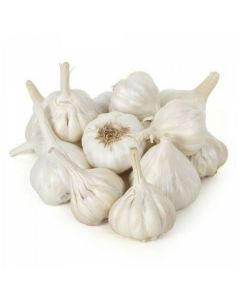 B072B Garlic Bulbs (Case)