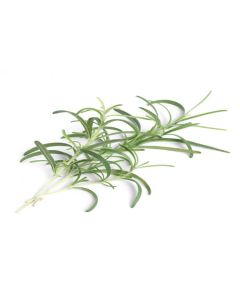 B059 Micro Sea Rosemary (pre order only)