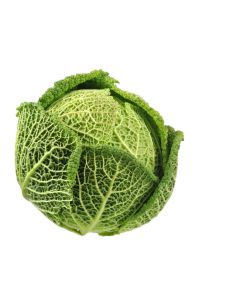 B032 Cabbage Savoy Green