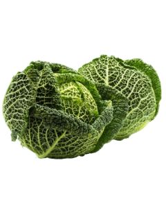 B031B Cabbage Savoy Green (Case)