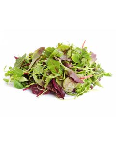 B3073 Mixed Baby Leaf Salad Leaves