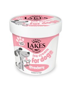 A7416 Lakes Strawberry Ice Cream for Dogs
