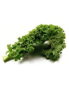 B8271 Green Curly Kale (Bag)