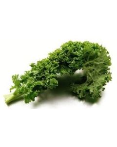 B1723 Curly Kale Green (Case)