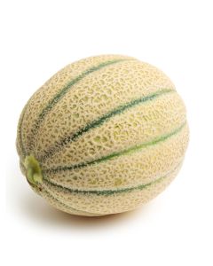 B361 Cantaloupe Melon