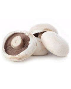 B238B Breakfast Flat Field Mushrooms (Case)