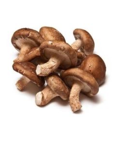 B303  Mushrooms Shitake (Case)
