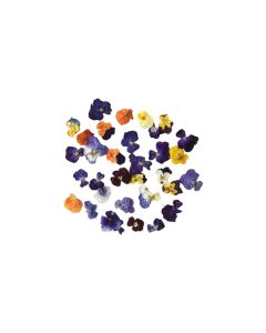 B079 Edible Viola Flowers