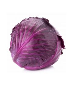 B036 Cabbage Red (per kg)