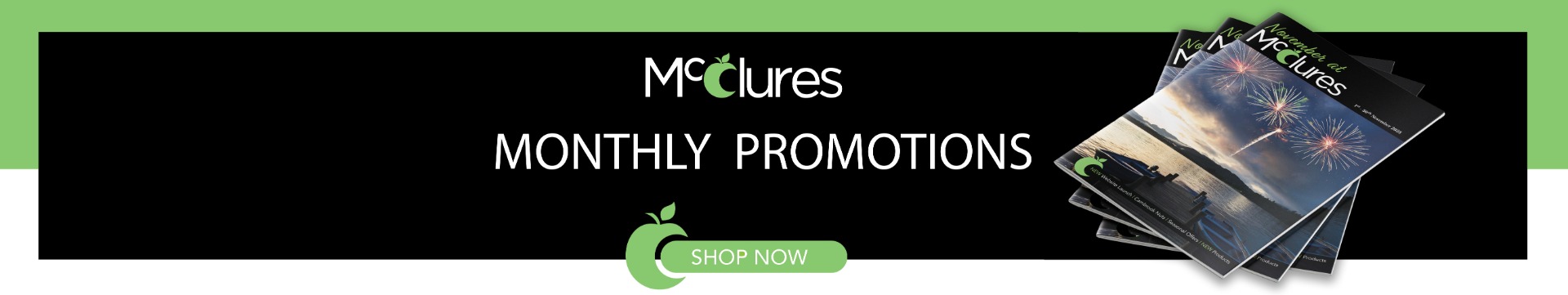 MONTHLY_PROMOTIONS_BANNER_-_November_copy